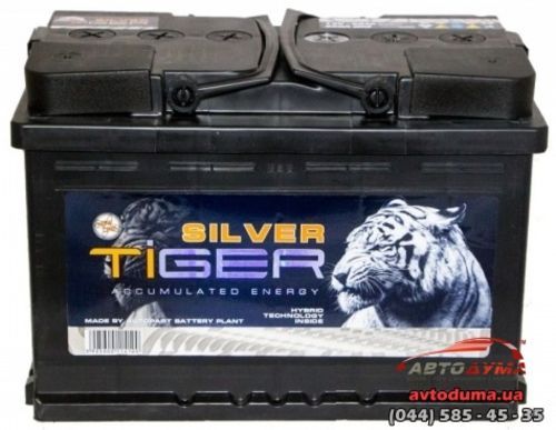 Аккумулятор Tiger 6 СТ-90-R AFS090S00W