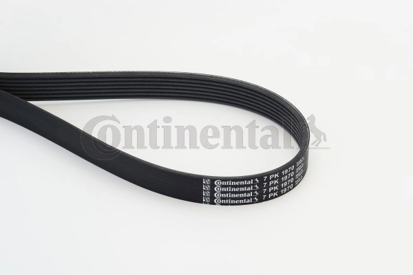 CONTITECH 7PK1970 Пасок поліклиновий 7PK1970/1975