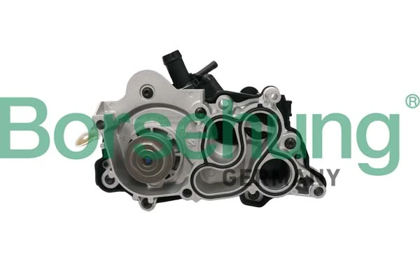 Borsehung B12692 Водяний насос в зборі (OE)