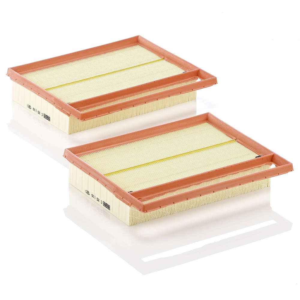 MANN-FILTER C251102 Воздушный фильтр MANN-FILTER C251102 Воздушный фильтр