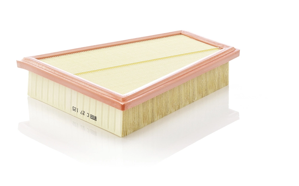 MANN-FILTER C27125 Фільтр повітряний